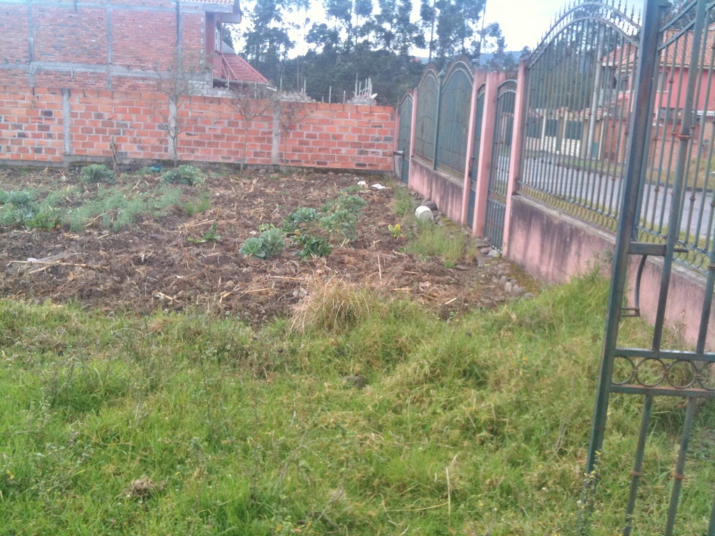 Terreno en Venta a crédito amplio y plano sector Ordoñez Lasso  Cuenca - Ecuador