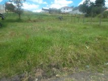 Vendo un Terreno de Oportunidad