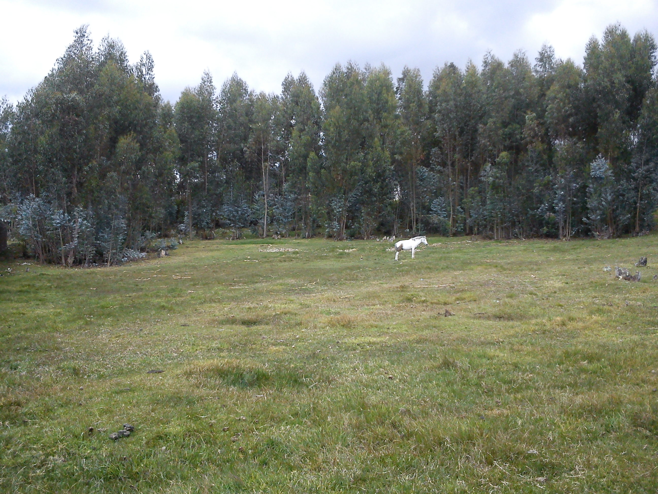 Terreno en Venta a Crédito sector San Miguel de Putuzhi, a 2,46 km de la AV. Ordoñez Lazo Cuenca Ecuador