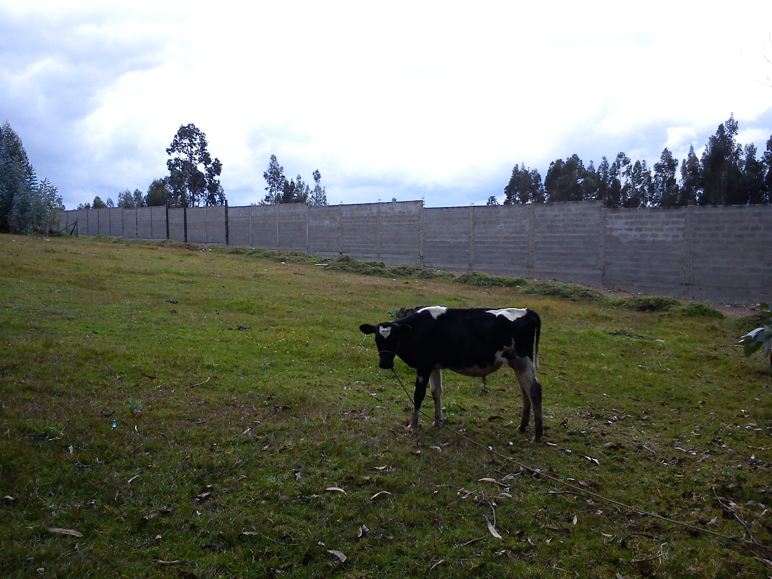 Terreno en Venta a Crédito sector San Miguel de Putuzhi, a 2,46 km de la AV. Ordoñez Lazo Cuenca Ecuador