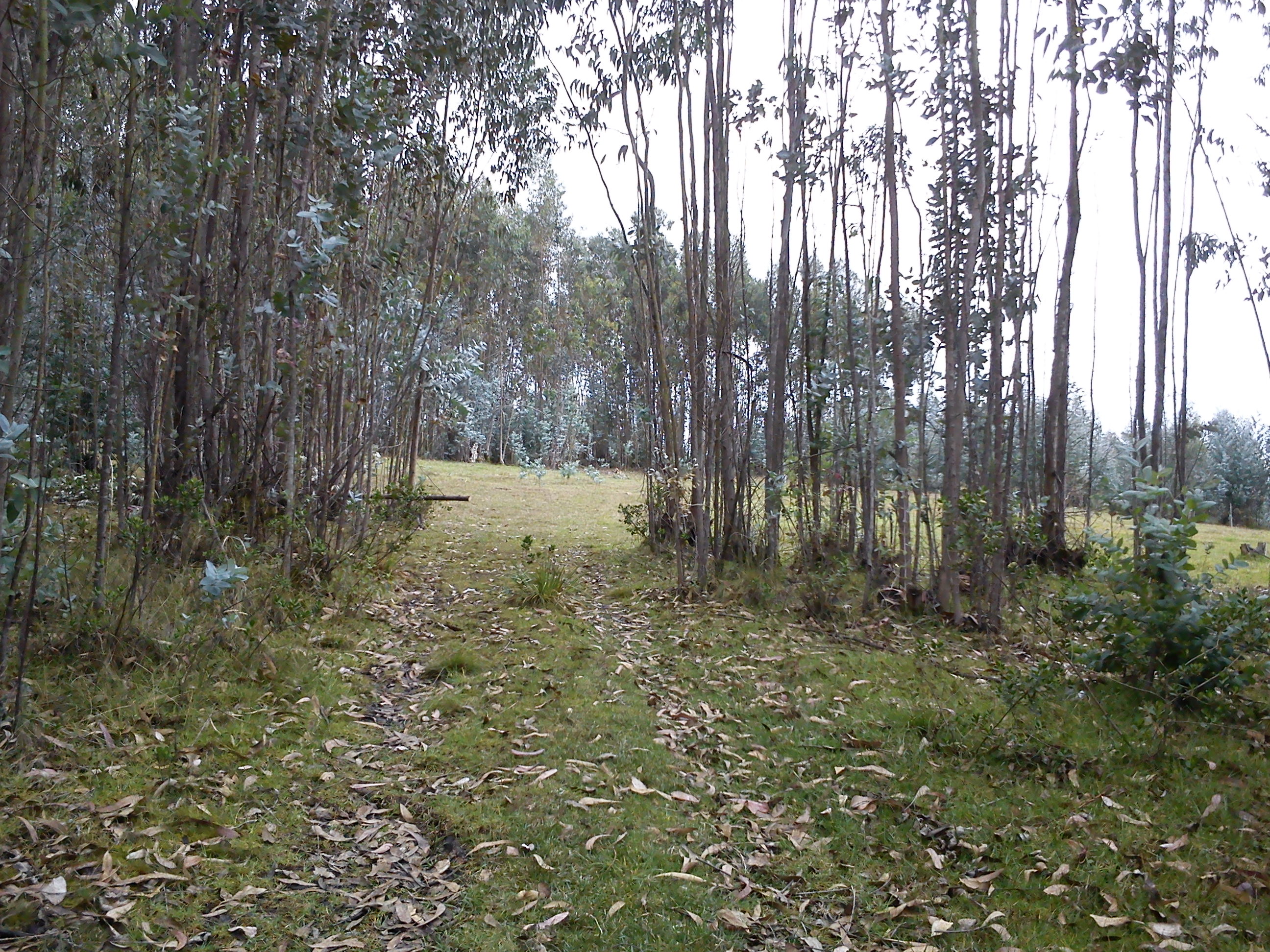 Terreno en Venta a Crédito sector San Miguel de Putuzhi, a 2,46 km de la AV. Ordoñez Lazo Cuenca Ecuador