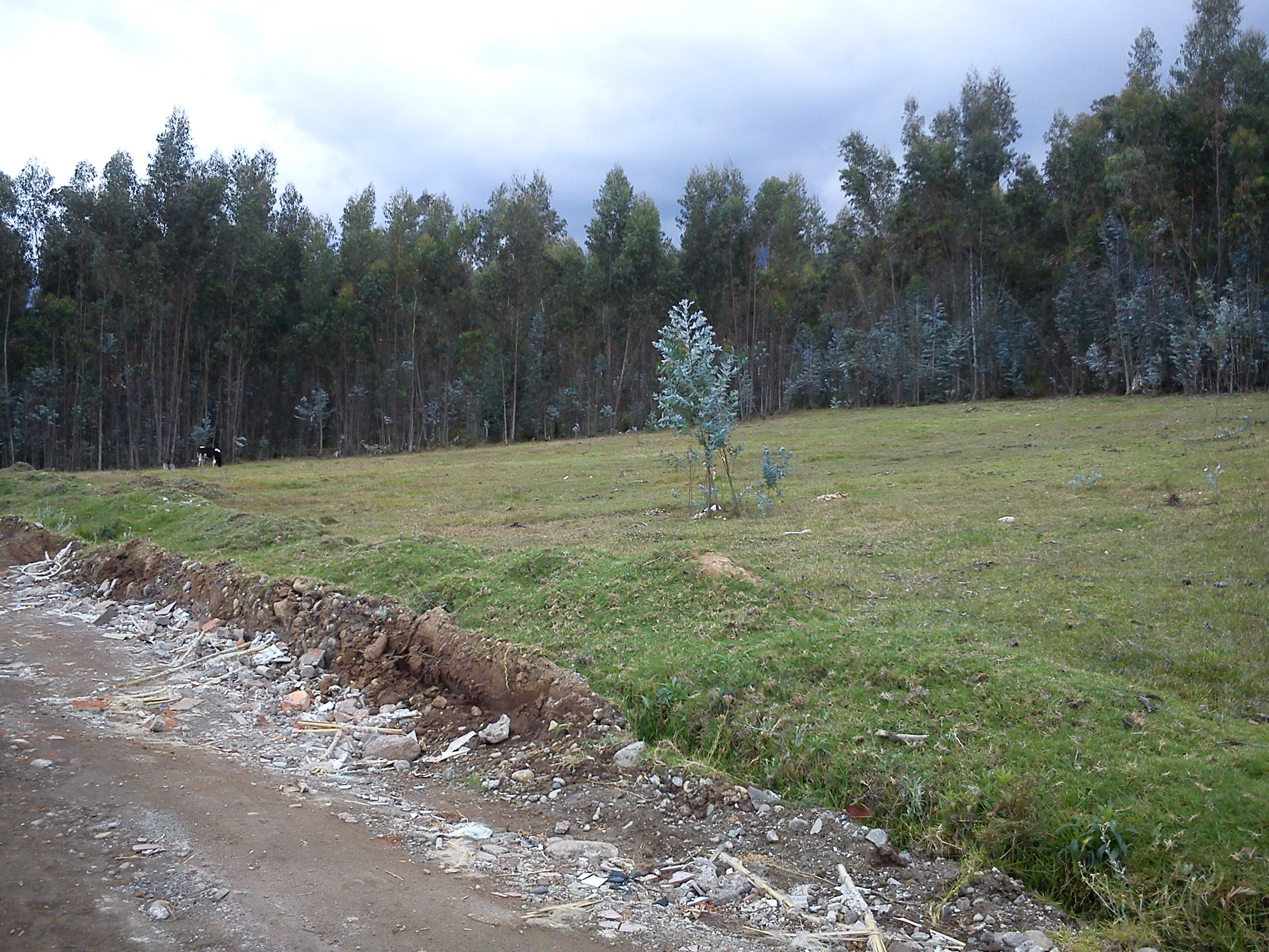 Terreno en Venta a Crédito sector San Miguel de Putuzhi, a 2,46 km de la AV. Ordoñez Lazo Cuenca Ecuador
