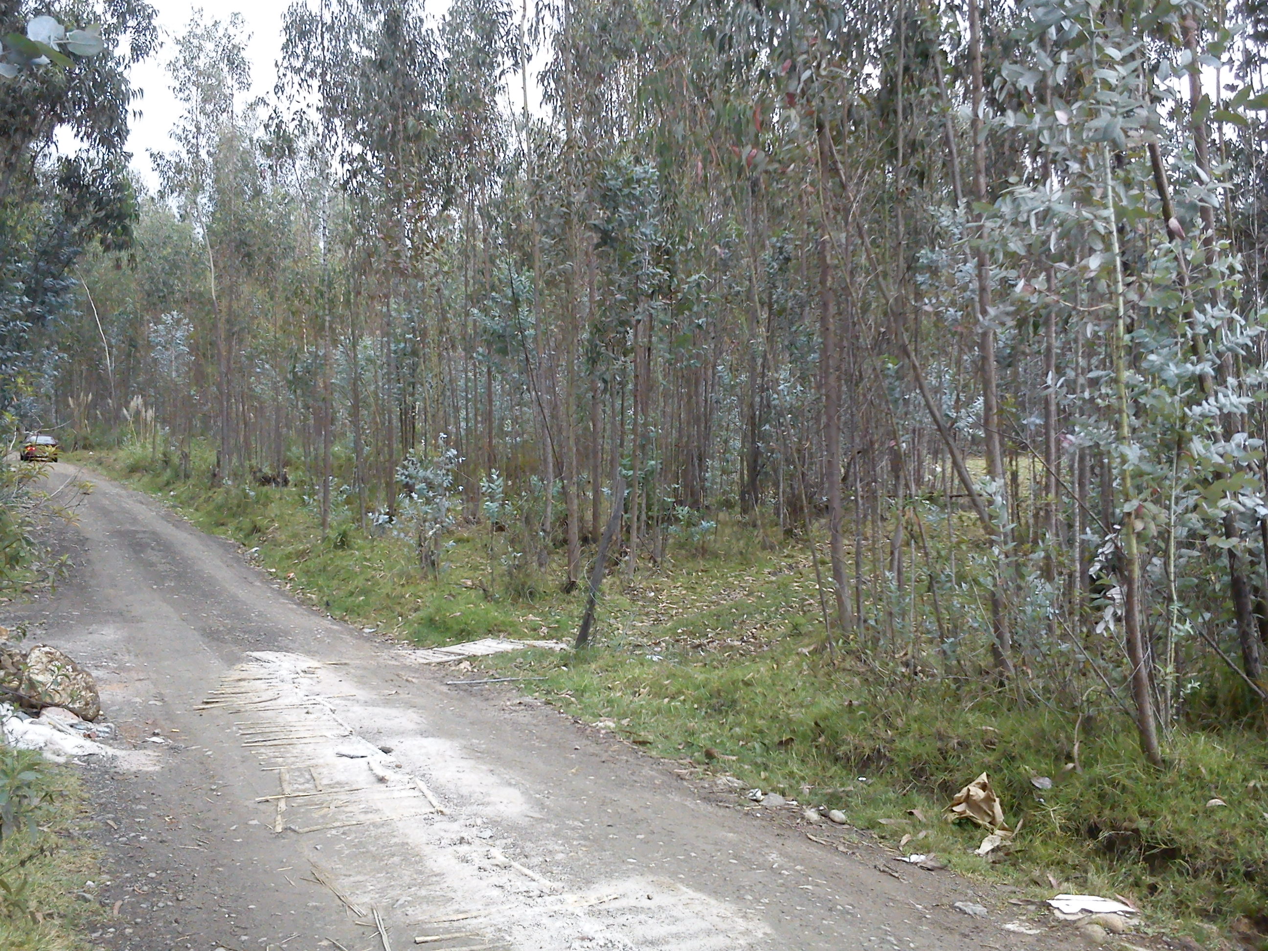Terreno en Venta a Crédito sector San Miguel de Putuzhi, a 2,46 km de la AV. Ordoñez Lazo Cuenca Ecuador