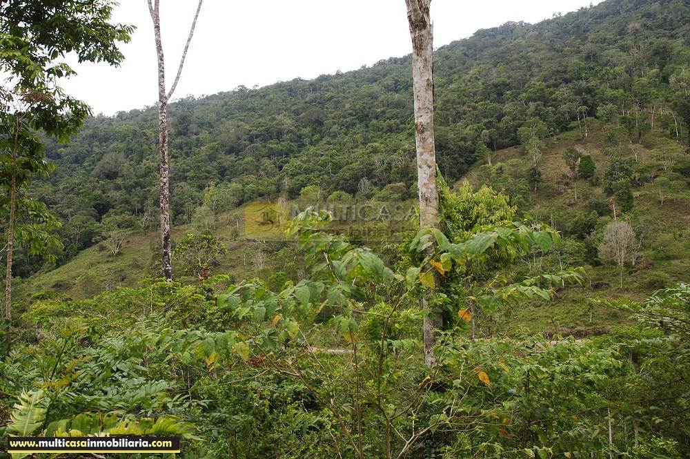 Finca en Venta a crédito bañada en agua sector Logroño Macas - Ecuador