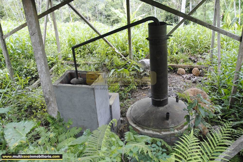 Finca en Venta a crédito bañada en agua sector Logroño Macas - Ecuador