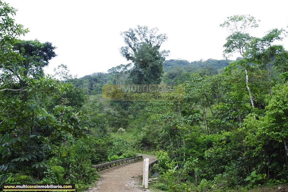 Quinta en Venta a crédito ideal para Cultivo sector Logroño Macas - Ecuador