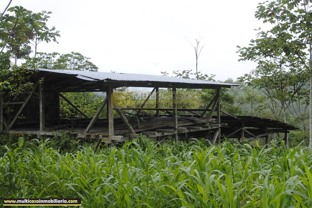Quinta en Venta a crédito ideal para Cultivo sector Logroño Macas - Ecuador