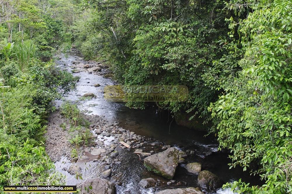 Quinta en Venta a crédito ideal para Cultivo sector Logroño Macas - Ecuador
