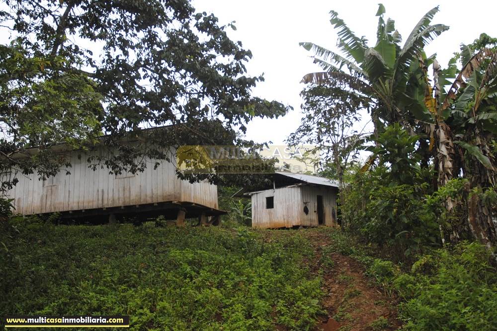 Quinta en Venta a crédito ideal para Cultivo sector Logroño Macas - Ecuador