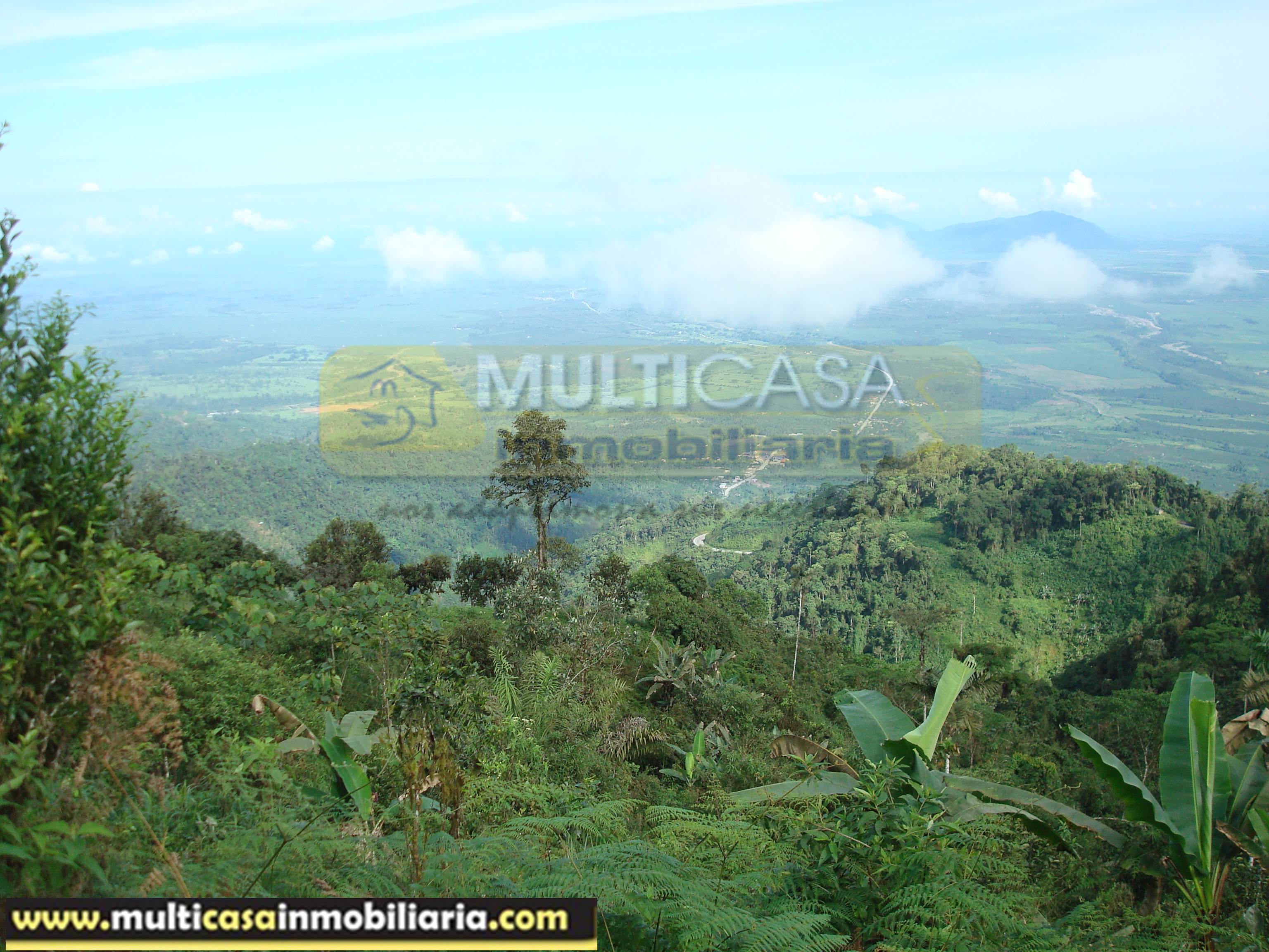 Hacienda en Venta a crédito sector Molleturo-Vía Guayaquil Cuenca - Ecuador