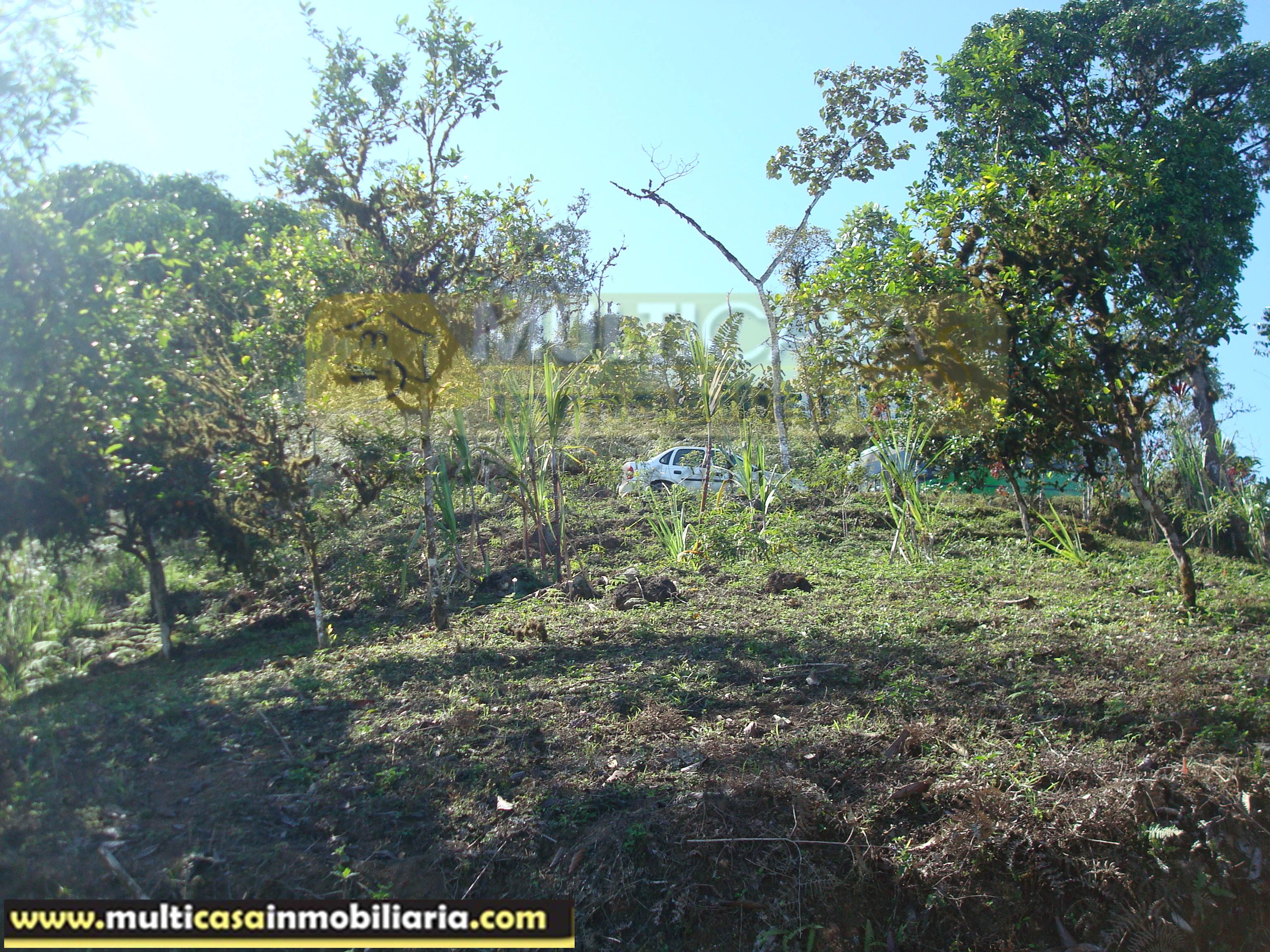 Quinta en Venta a crédito sector Molleturo-Vía Guayaquil Cuenca-Ecuador