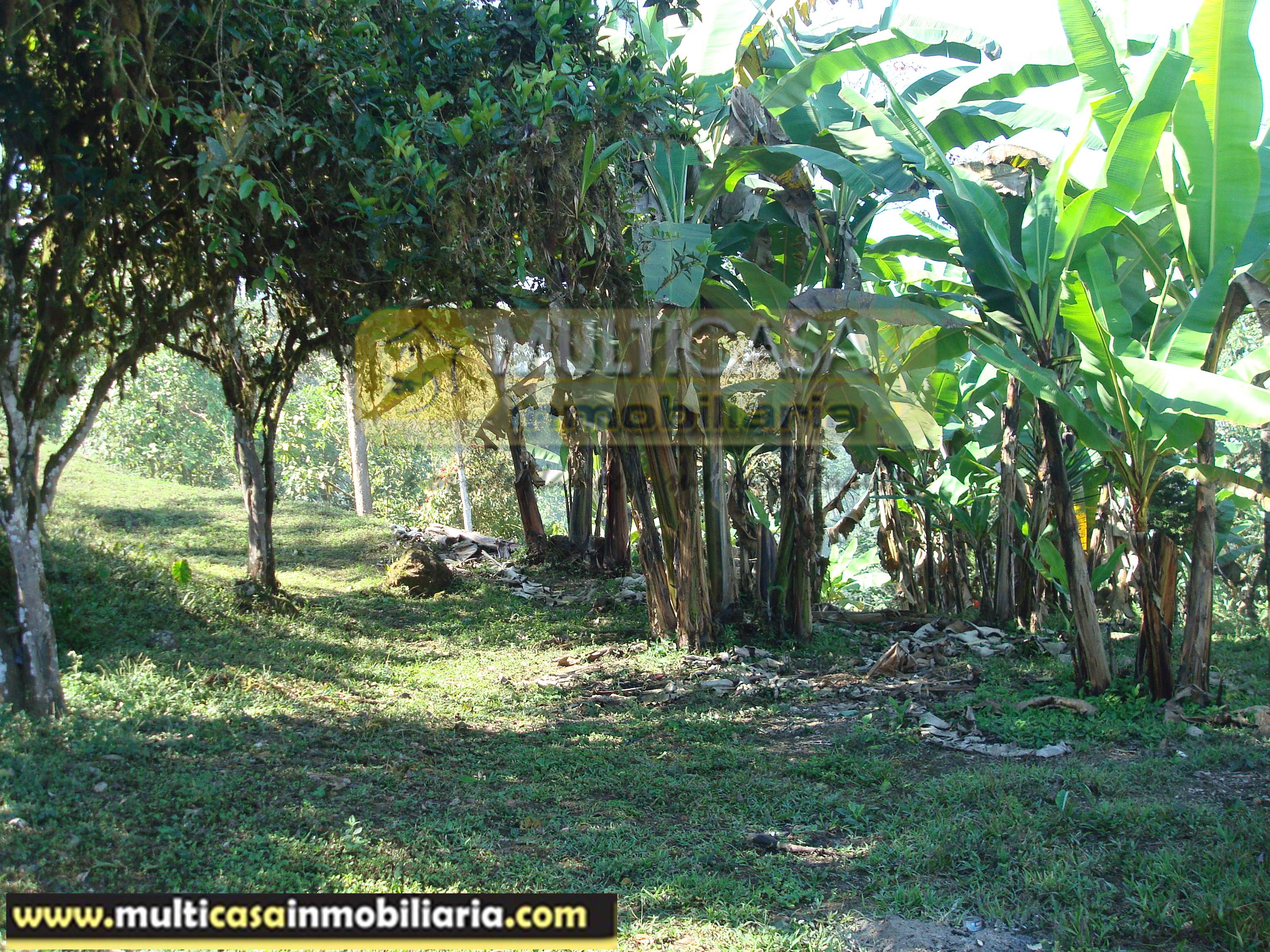 Quinta en Venta a crédito sector Molleturo-Vía Guayaquil Cuenca-Ecuador