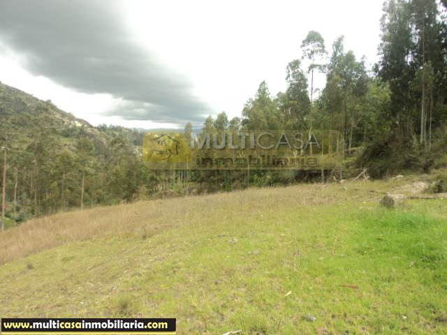 Terreno en Venta a Crédito de 5 Hectáreas Sector Icto Cruz (Turi) Cuenca - Ecuador
