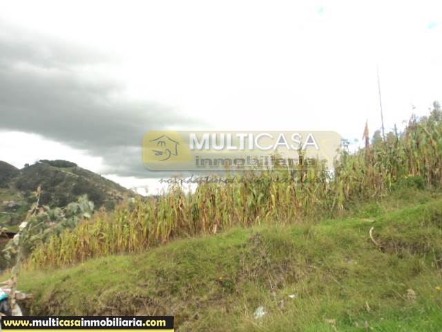 Terreno en Venta a Crédito de 5 Hectáreas Sector Icto Cruz (Turi) Cuenca - Ecuador