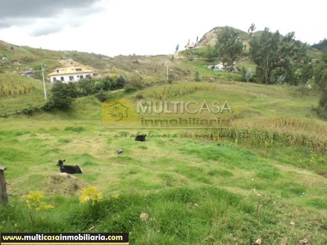Terreno en Venta a Crédito de 5 Hectáreas Sector Icto Cruz (Turi) Cuenca - Ecuador