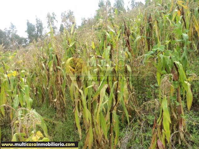 Terreno en Venta a Crédito de 5 Hectáreas Sector Icto Cruz (Turi) Cuenca - Ecuador