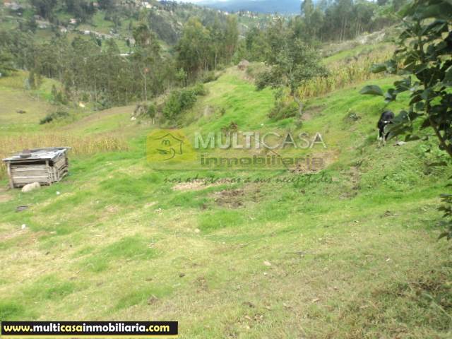 5 Hectareas de Terreno en Venta a Crédito de  Sector Icto Cruz (Turi) Cuenca - Ecuador