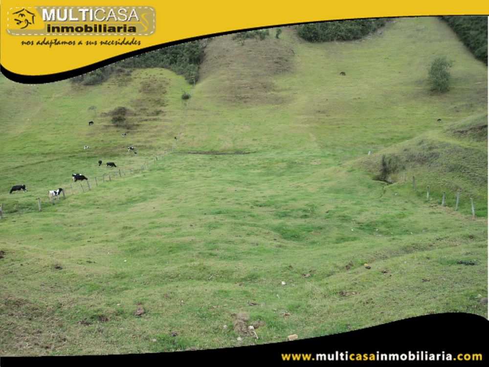 Terreno en Venta a Crédito Sector Totorillas Tarqui -Ecuador