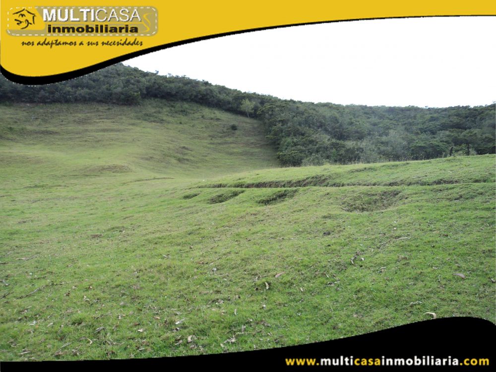 Sitio en Venta a Crédito Sector Totorillas Tarqui-Ecuador