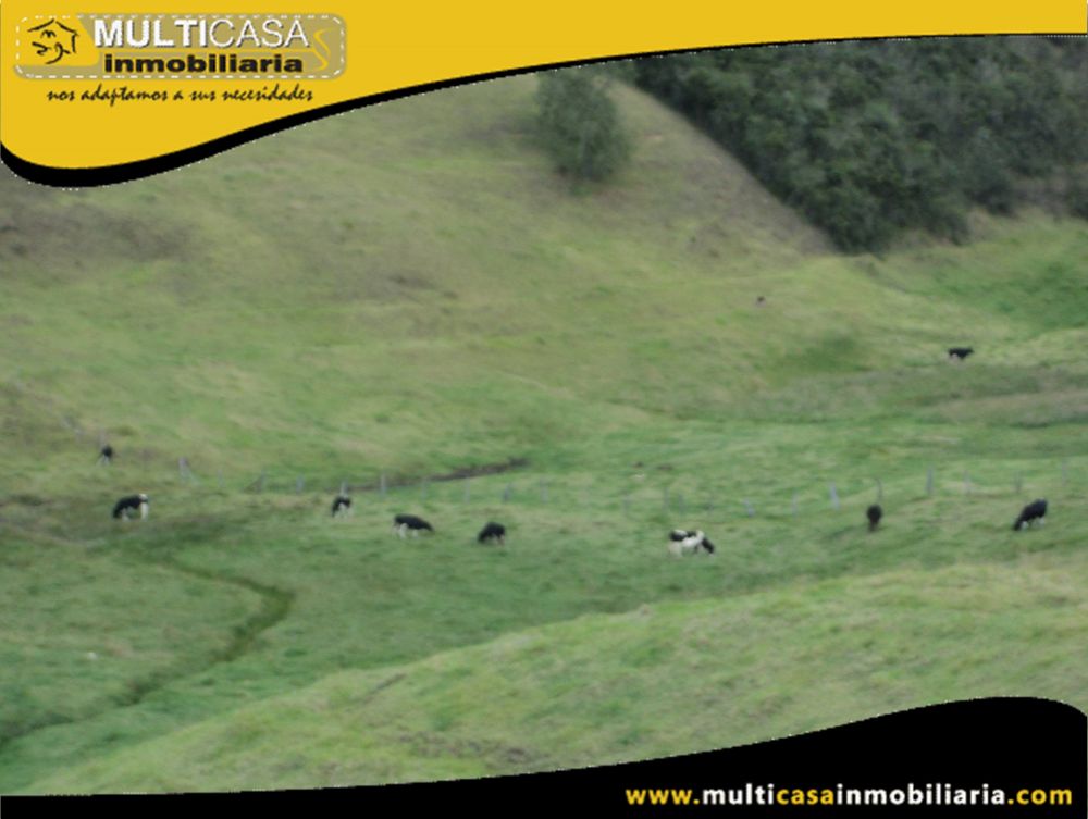 Sitio en Venta a Crédito Sector Totorillas Tarqui-Ecuador
