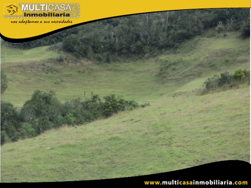 Sitio en Venta a Crédito Sector Totorillas Tarqui-Ecuador