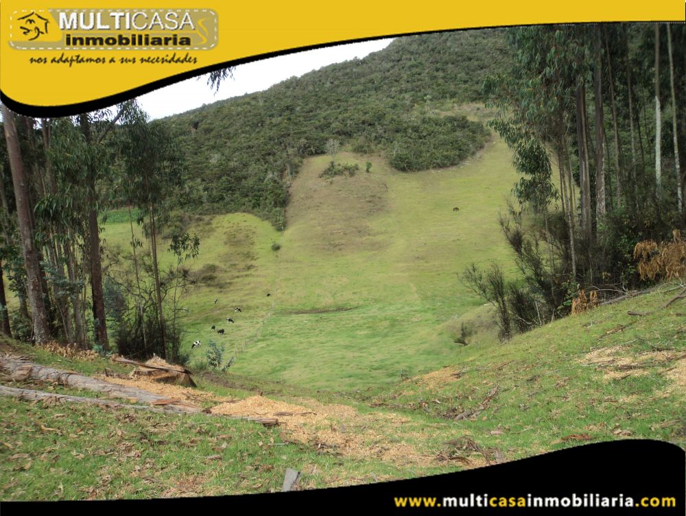 Sitio en Venta a Crédito Sector Totorillas Tarqui-Ecuador