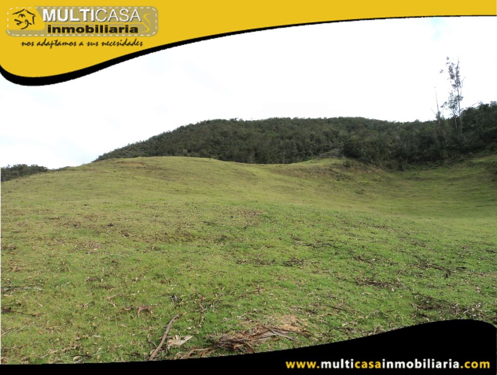 Sitio en Venta a Crédito Sector Totorillas Tarqui-Ecuador
