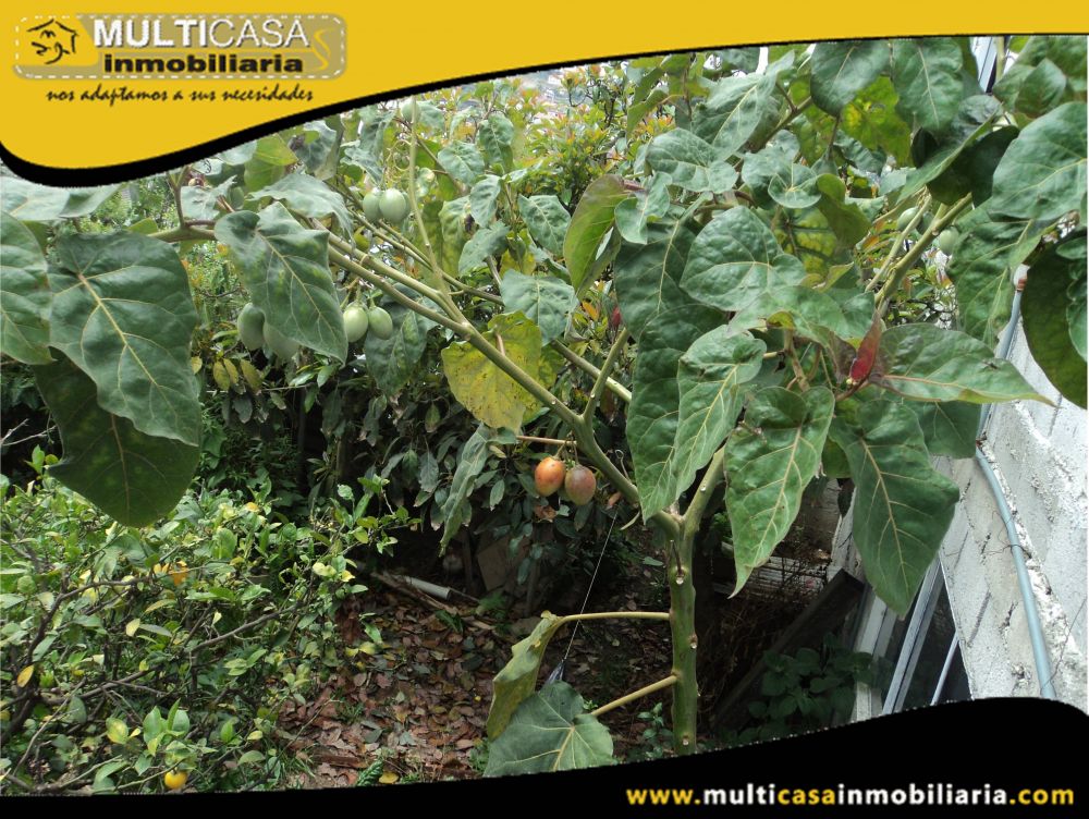 Casa Hostal en Venta a Crédito Sector Vía al Valle-Chilcapamba Cuenca-Ecuador