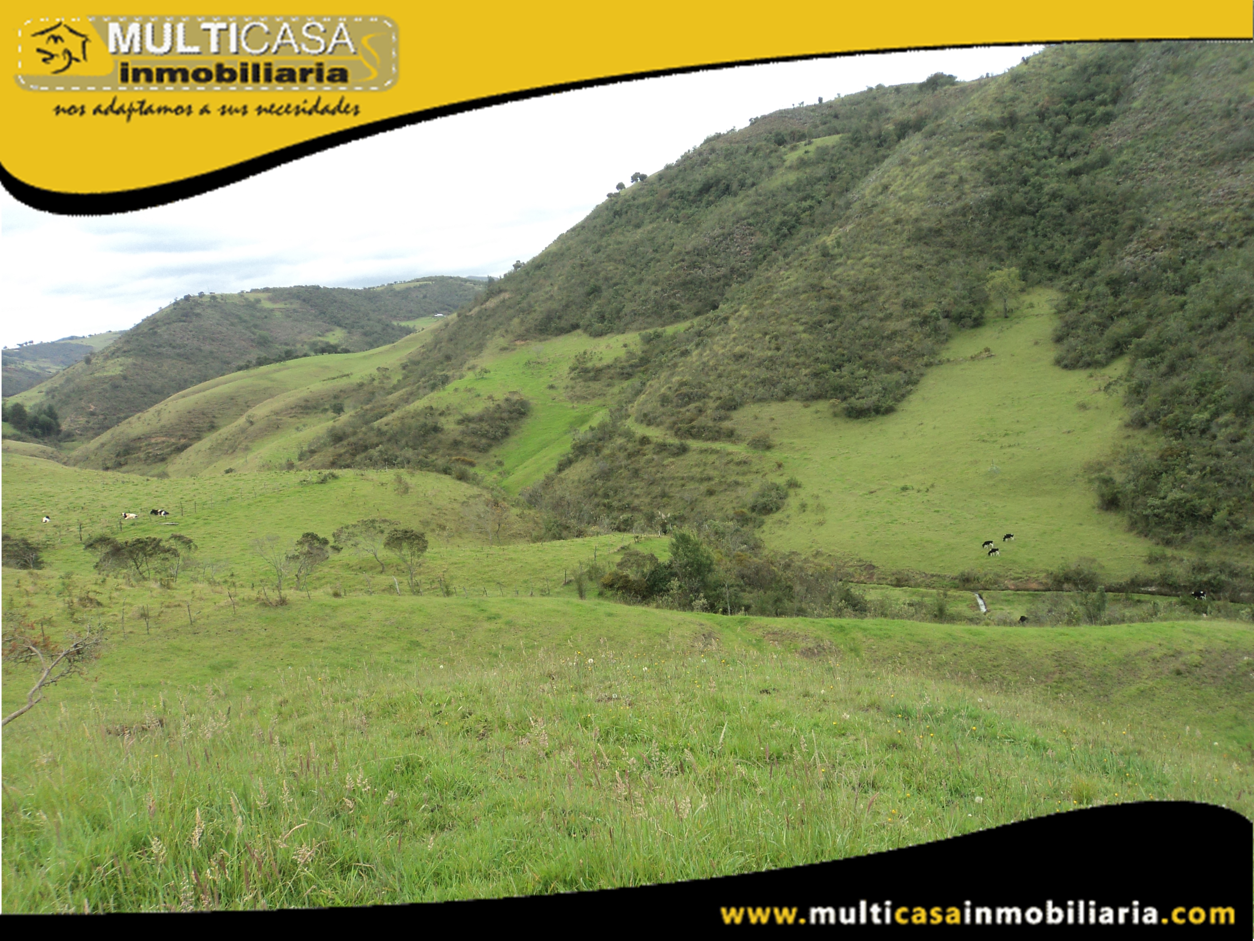 Hectáreas de Terreno en Venta a Crédito Sector Atucloma-Tarqui Cuenca-Ecuador