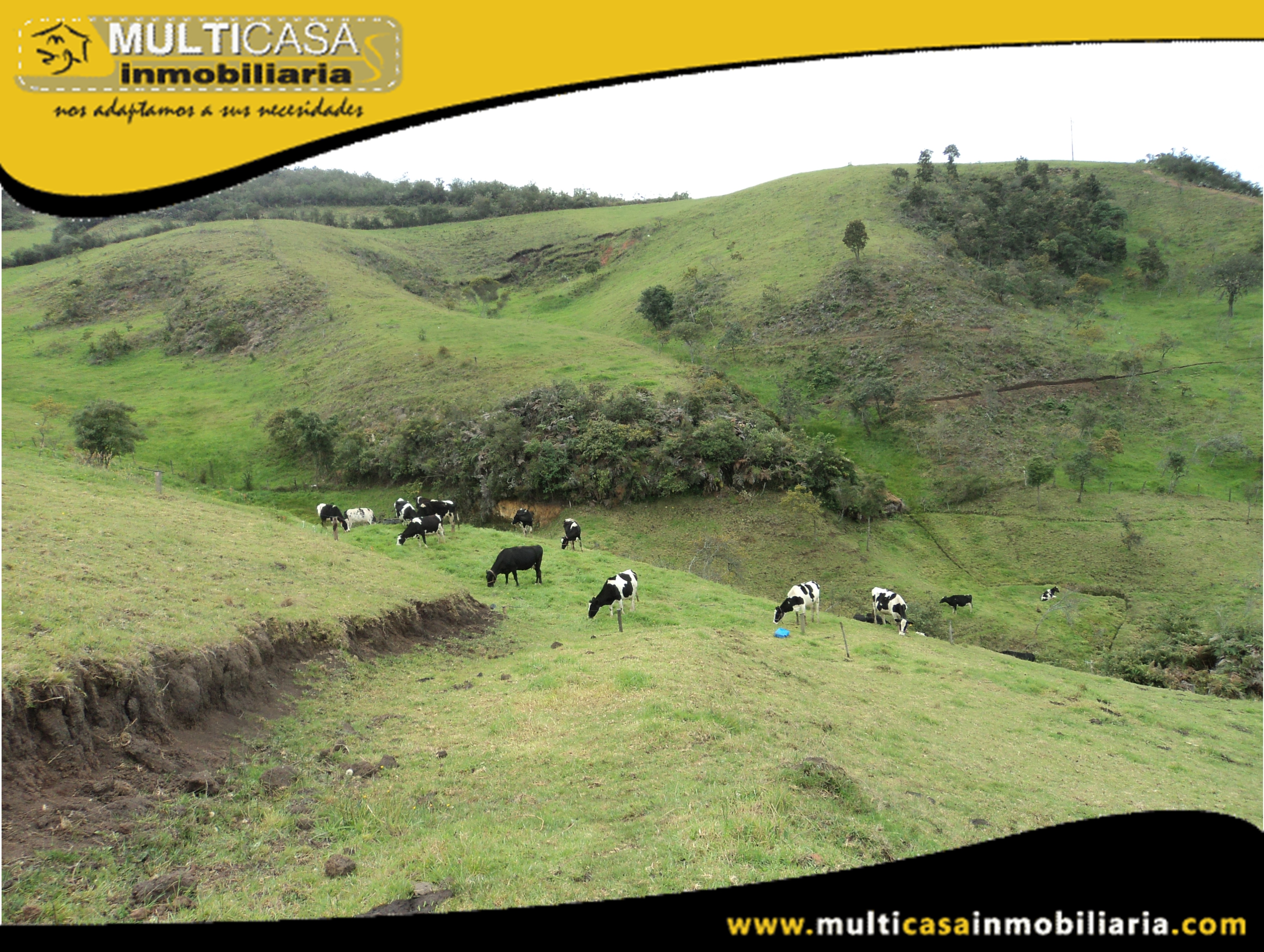 Hacienda en Venta a Crédito Sector Tarqui-Atucloma Cuenca-Ecuador