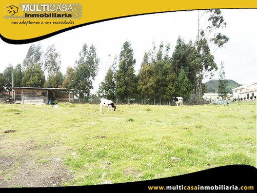 Terreno en Venta a Crédito Sector Tarqui - Ecuador