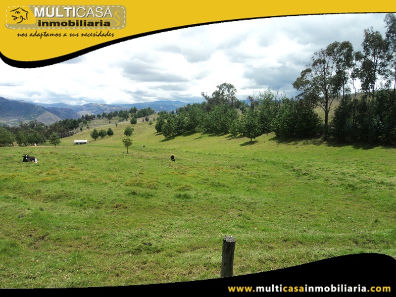 Quintas Vacacionales en Venta a Crédito Sector Susudel - Ecuador