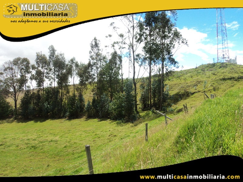 Hacienda en Venta a Crédito de 51 Hectáreas Sector Susudel - Ecuador