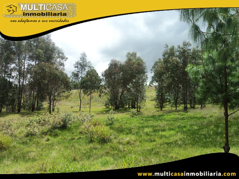 Hacienda de 18 Hectáreas Sector Susudel - Ecuador