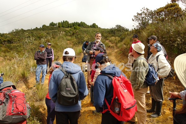 Caminata al Aguarongo