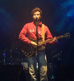 Jarabe de Palo