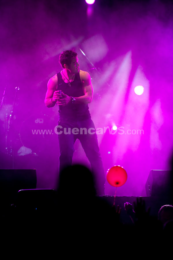 Colecciones y Arte 2010