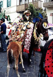 Pase del Niño 2005