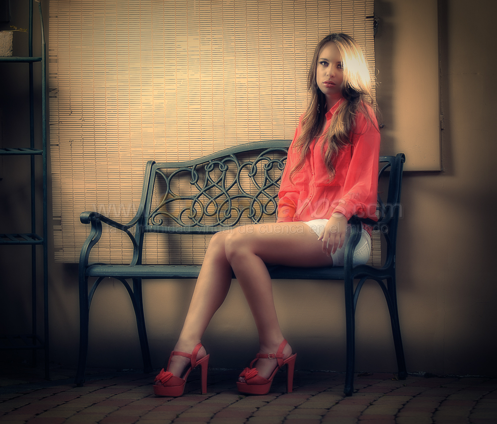 Reina de Cuenca 2012