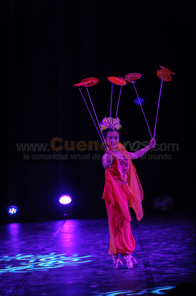 Circo Social 2013