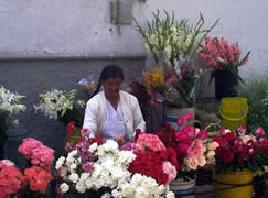 Plaza del Carmen de las Flores